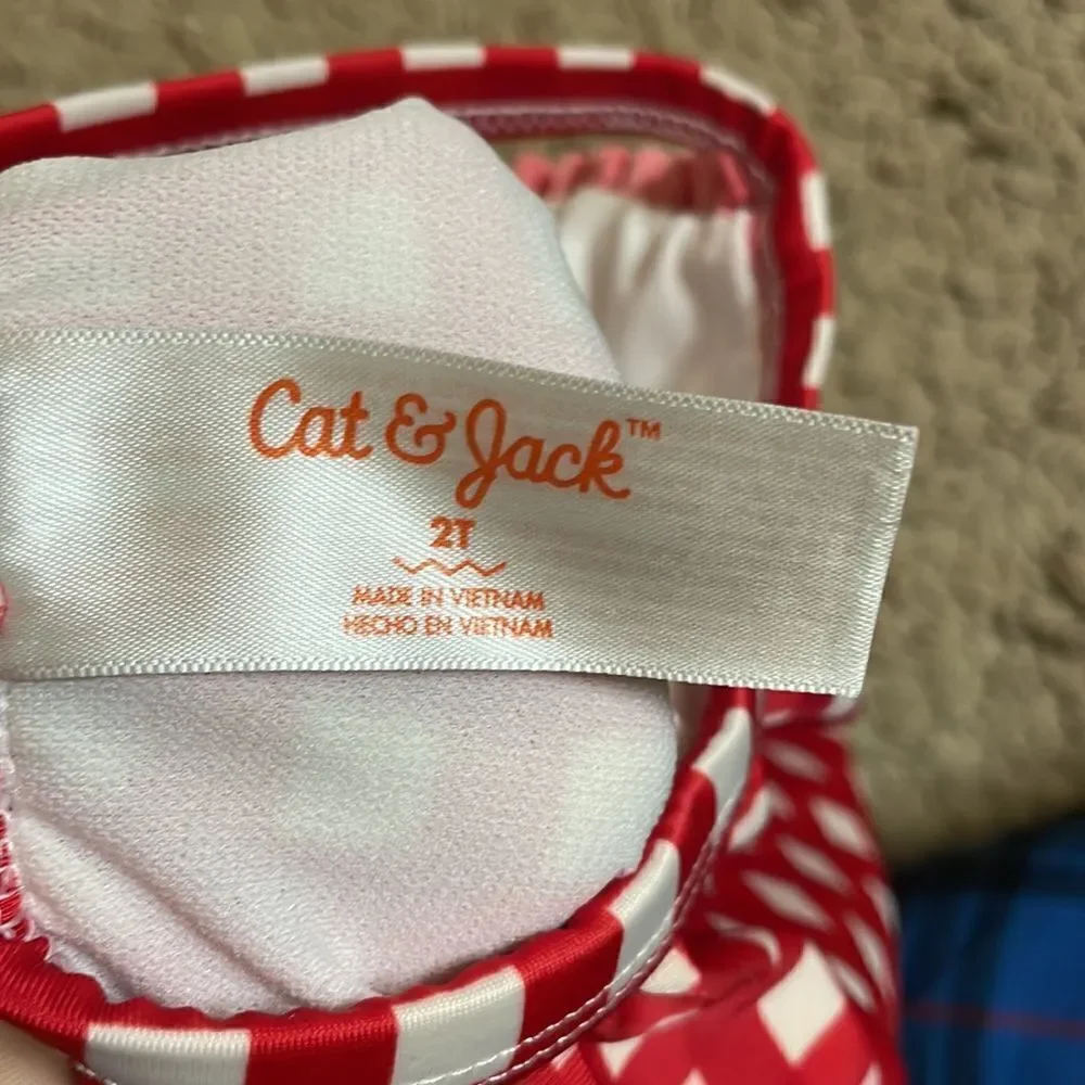 Bundle of 4 Toddler Swimsuits